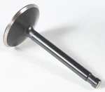 Kibblewhite Black Diamond Intake Valve (2.00IN. Oversized) 20-4256. Fixed Price $30.08.
