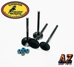 Yamaha Raptor 700 Stock Replacement Kibblewhite Intake Exhaust Valves Seals Kit. Fixed Price $135.18.