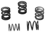 Andrews 272110 .600" High Lift Valve Springs Harley Shovelhead 60258. Fixed Price $66.60.