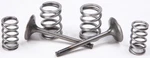 Pro Steel Valves And Spring Kits Exhaust 28.SES4409-1. Fixed Price $150.26.