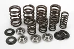 Kibblewhite Precision Valve Spring Kit 40-40700 Kawasaki Oem Replacement 53-1373. Fixed Price $181.85.
