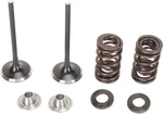 Moose Exhaust Valve/spring Kit Fits Suzuki RM-Z450 2005-2006. Fixed Price $196.95.