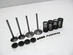 2009 Ktm 505 450 Sxf Oem Complete Valve Set W/spings Intake Exhaust. Fixed Price $250.00.