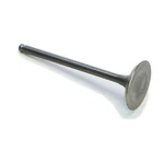 Pro Steel Exhaust Valve 28.3402-1. Fixed Price $32.95.