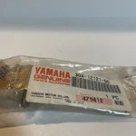 30X-12121-00-00 Yamaha Valve, Exhaust 30X121210000, New Genuine Oem Part Nos. Fixed Price $85.00.