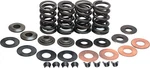Kibblewhite Complete Valve Spring Kit .415IN. Lift 20-20435 Old. Fixed Price $125.90.