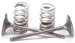 Pro X 28.SIS3338-2 Steel Intake Valve/spring Kit. Fixed Price $140.83.
