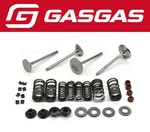Valve Kit MC350F 22, EX350F 21-22 Oem Genuine Ktm Husky Gasgas #C185. Fixed Price $988.79.