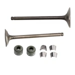 Valve Set Inlet & Exhaust For CG200 GS200 Dirt Bike Pocket Atv Quad. Fixed Price $14.78.