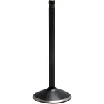 Kibblewhite 0926-2943 20-20900 Nitrided Valve Intake. Fixed Price $41.12.