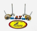 04-16 Kawasaki Oem Head Kibblewhite Intake Exhaust Valves & Seals. Fixed Price $135.18.