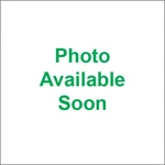 Vesrah GG-1028-EX Exhaust Valve. Fixed Price $55.95.
