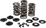 Kibblewhite Racing Valve Spring Kit (20-21600). Fixed Price $188.59.