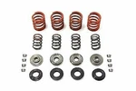 Valve Spring Kit For Harley Davidson By V-twin. Fixed Price $86.36.