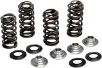 Kibblewhite Valve Spring Kit W/titanium Collar 80-82300 For Yamaha WR/YZ250F/X. Fixed Price $189.12.