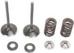 Moose Stainless Intake Valve & Spring Kit (0926-2428). Fixed Price $196.95.