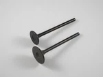 Shindy 07-015 Intake & Exhaust Valve Set Fits Honda ATC200X TRX200D/SX. Fixed Price $38.28.