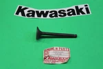 Nos Kawasaki 1974-78 KZ400 Exhaust Valve Oem # 12005-011. Fixed Price $13.95.