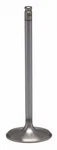 Kpmi White Diamond Exhaust Valve 30-32816K. Fixed Price $47.83.