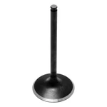 Kibblewhite 30-31612 Black Diamond Intake Valve Standard. Fixed Price $40.26.