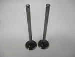 Genuine Kawasaki 12004-7006 Intake Valves For FX921V FXT00V. Fixed Price $52.99.