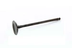 Yamaha Valve, Intake 5NL-12112-30-00 Oem New. Fixed Price $143.40.