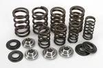 XR500 XR600 XL600 XR650L Racing Valve Spring Kit Usa Kibblewhite 30-30015. Fixed Price $129.95.