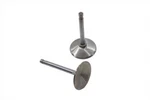 Stainless Steel Intake Valve Set For Harley-davidson Sportster Ironhead 1970-198. Fixed Price $133.80.