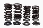 Kpmi Racing Valve Spring Kit #30-32800. Fixed Price $180.40.
