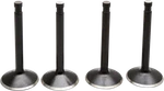 Kibblewhite Intake & Exhaust Valve Kit Harley Shovelhead 74" 1966-77 20-22400. Fixed Price $114.31.