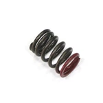 Psychic Exhaust Valve Spring XU-09536ES For RMZ450 2005-2007 LTR450 2006-2009. Fixed Price $20.46.