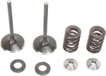 Moose F.e.a. Stainless Steel Valve And Spring Intake Kit Suzuki RMZ450 05-06. Fixed Price $196.95.