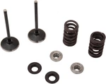 Moose Intake Valve Kit For Yamaha YZ250F 4-STROKE 2019. Fixed Price $196.95.