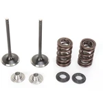 Moose Intake Valve Kit 0926-2439. Fixed Price $196.95.
