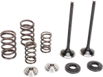 Moose Offroad Valve And Spring Kit Ktm 250SX-F 250XC-F 250XCF-W M96-96460. Fixed Price $217.95.