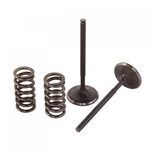 Pro Steel Exhaust Valve/spring Kit 28.SES4409-1. Fixed Price $153.83.