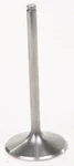 Xceldyne Titanium Single Intake Valve X2TIVM13000. Fixed Price $105.60.