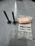Kawasaki 12005-1006 Nos Valve. Fixed Price $22.00.