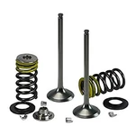 Psychic Intake Valve Kit #XU-09539IK For Kawasaki KX250F 4-STROKE 2011-2016. Fixed Price $69.23.