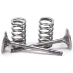 Pro Steel Exhaust Valve And Spring Kit 28.SES2424-1. Fixed Price $129.99.