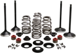 Kibblewhite Black Diamond Engine Kpmi Valve Standard Kit Harley 05-17 Twin Cam. Fixed Price $248.22.