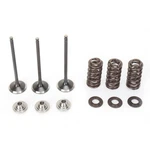 Moose Intake Valve Kit 0926-2457. Fixed Price $307.95.
