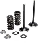 Stainless Steel Intake Valve Conversion Kit For Honda 2009-12. Fixed Price $175.95.