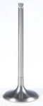 Kibblewhite Tensilite Titanium Intake Valve 60-60512T. Fixed Price $100.56.