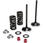 Moose Racing Stainless Steel Exhaust Valve Kit For Kawasaki Kx 450F 06-08. Fixed Price $196.95.