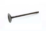 2001-2013 Yamaha YZ250F WR250F New Oem Intake Valve 5NL-12112-30 5NL-12112-10. Fixed Price $108.14.