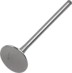Del West - DWCRF250REV10ND Exhaust Valve. Fixed Price $148.15.