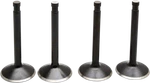 Kibblewhite Engine Valve Kit 20-22100. Fixed Price $114.31.