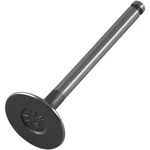Pro-x 28.1070-2 Intake Valve, Steel. Fixed Price $17.95.