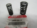 Suzuki 1998-2000 GSXR750 BSXR600 Nos Valve Springs Oem 12920-33E10. Fixed Price $13.44.
